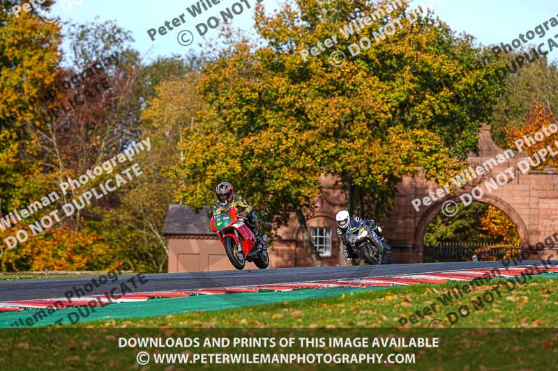 anglesey;brands hatch;cadwell park;croft;donington park;enduro digital images;event digital images;eventdigitalimages;mallory;no limits;oulton park;peter wileman photography;racing digital images;silverstone;snetterton;trackday digital images;trackday photos;vmcc banbury run;welsh 2 day enduro
